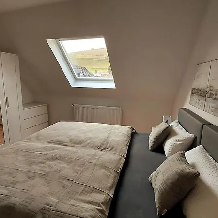 公寓 Kleine Auszeit Im Alten Weingut 维宁根