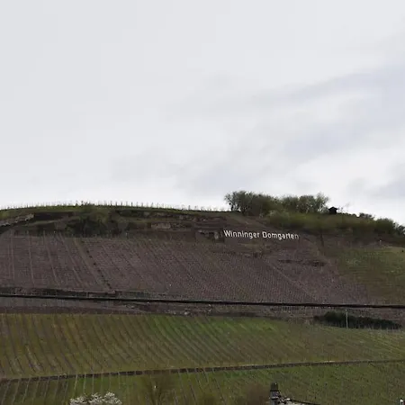 公寓 Kleine Auszeit Im Alten Weingut *